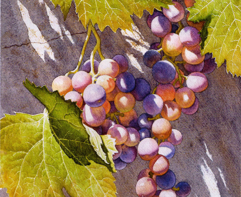 Pas à pas aquarelle « Sur la Terrasse »